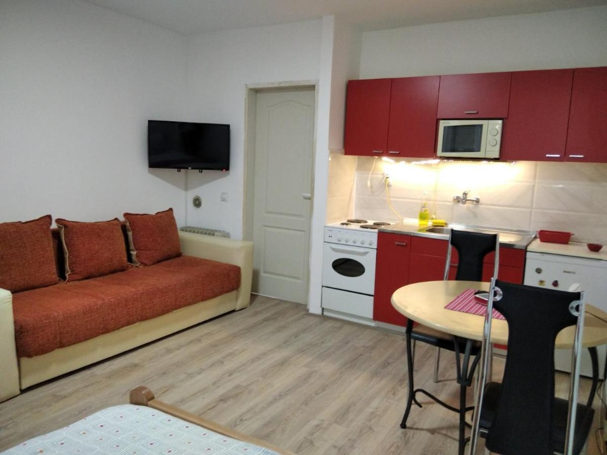 Apartman 4 - Studio Janja 索科矿泉村 外观 照片