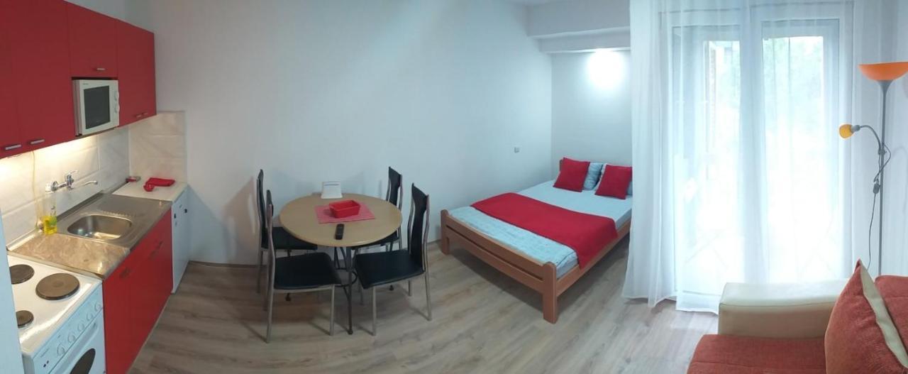Apartman 4 - Studio Janja 索科矿泉村 外观 照片
