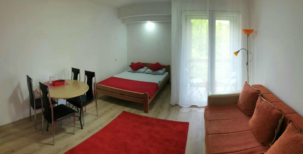 Apartman 4 - Studio Janja 索科矿泉村 外观 照片